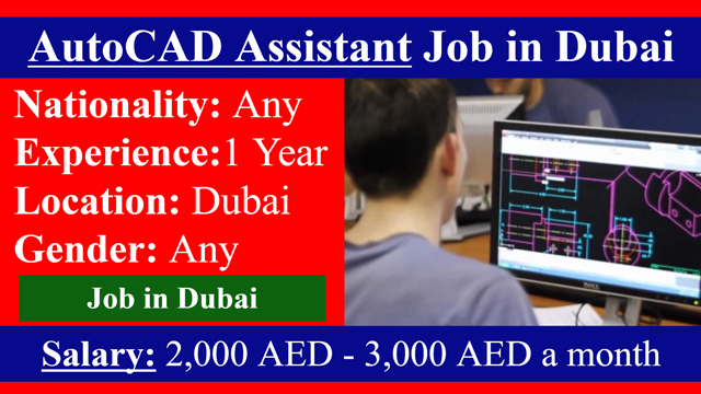 AutoCAD Assistant Job in Dubai