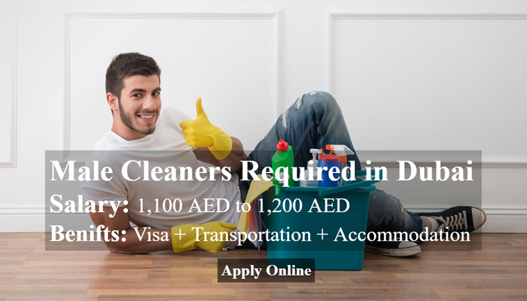 Male cleaners job in Dubai
