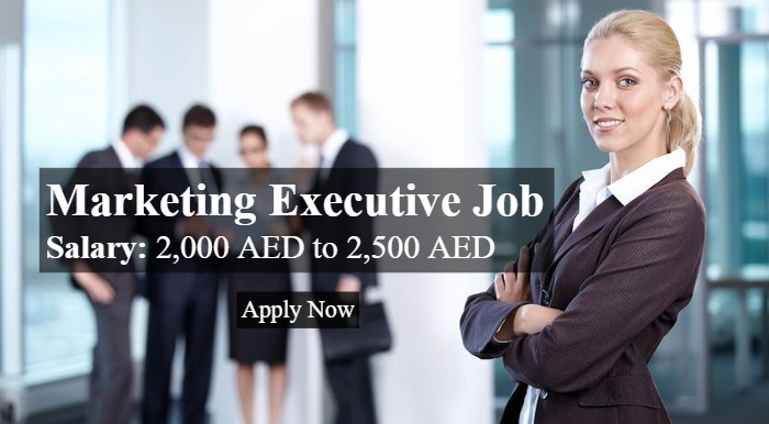 Marketing Executive Job in Dubai - UAE