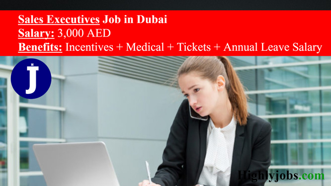 Sales Executive Job in Dubai