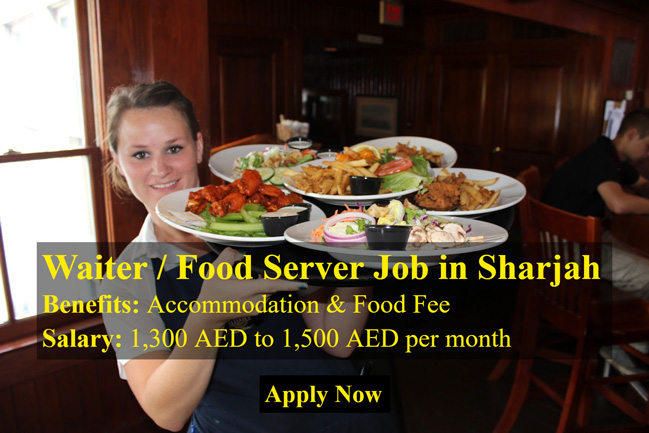 Waiter cum Food Server Job in Sharjah